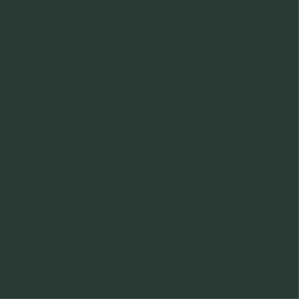 Forest Ember (367)