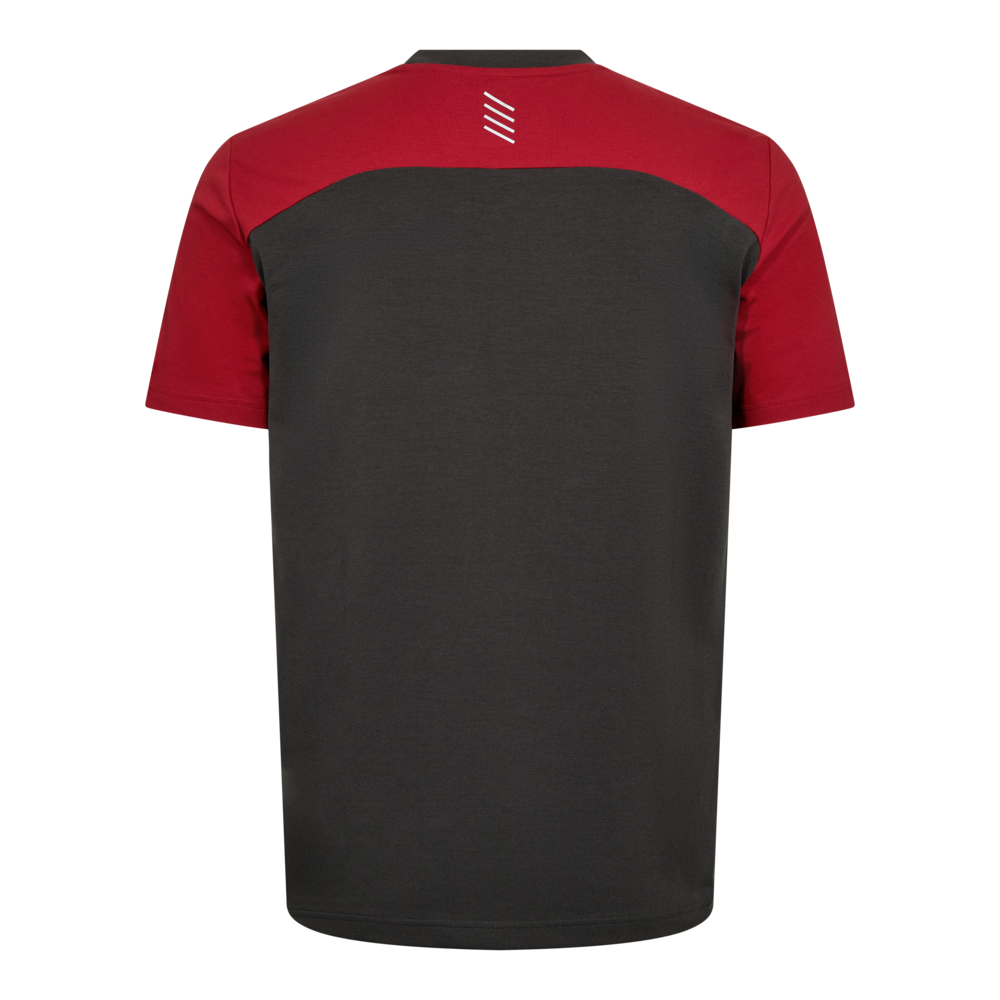 ENTIRE T-Shirt – Anthrazit Grau / Flame (Rücken)